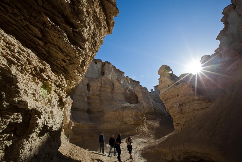 Belfer'S Dead Sea Cabins Neot HaKikar Dış mekan fotoğraf