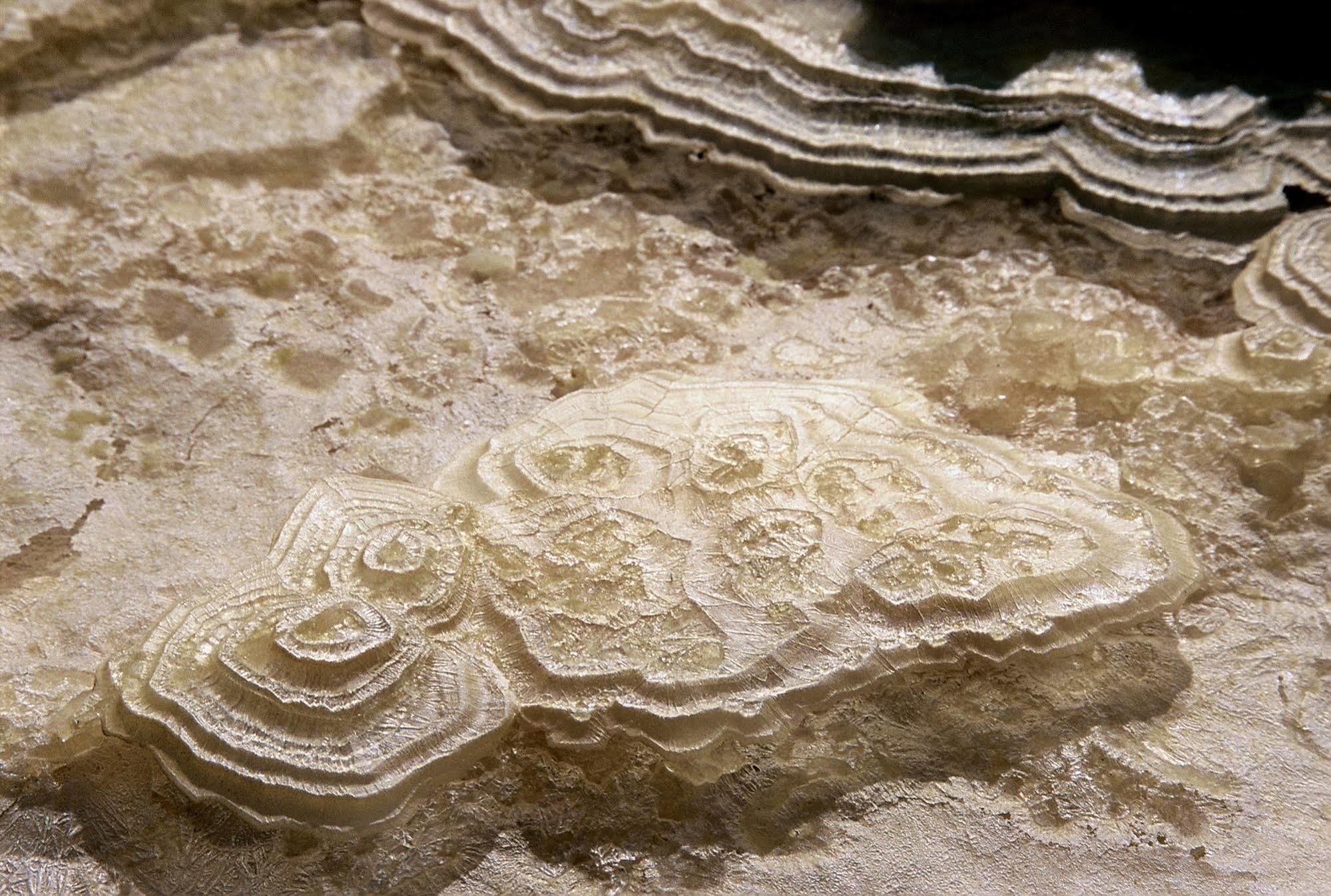 Belfer'S Dead Sea Cabins Neot HaKikar Dış mekan fotoğraf
